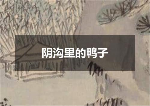 阴沟里的鸭子