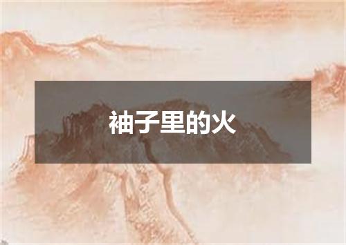 袖子里的火