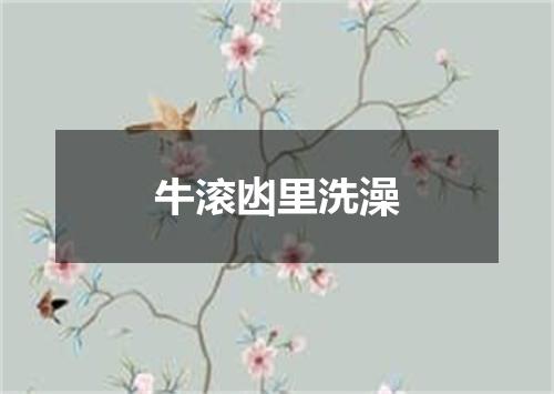 牛滚凼里洗澡