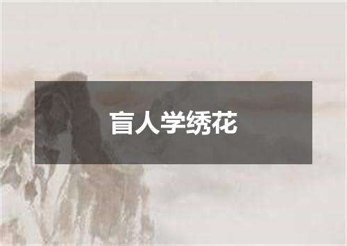 盲人学绣花