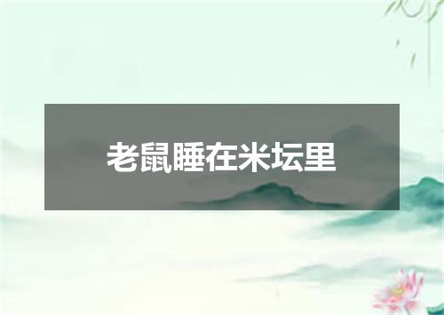 老鼠睡在米坛里