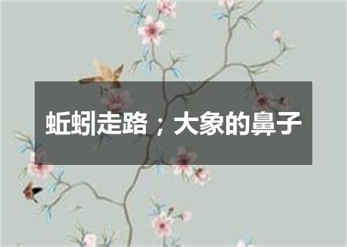 蚯蚓走路；大象的鼻子
