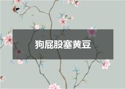 狗屁股塞黄豆