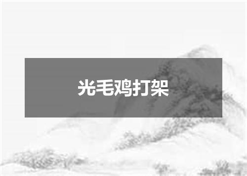 光毛鸡打架