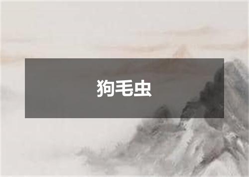 狗毛虫