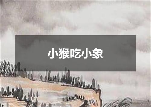 小猴吃小象