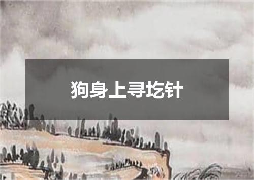 狗身上寻圪针