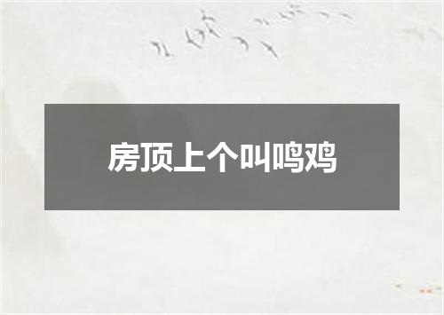 房顶上个叫鸣鸡