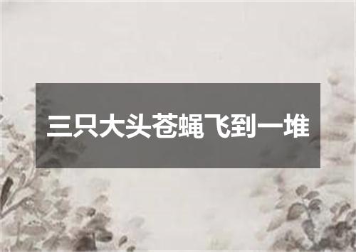 三只大头苍蝇飞到一堆