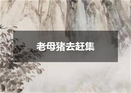 老母猪去赶集