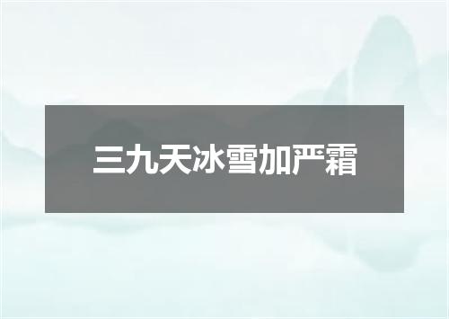三九天冰雪加严霜
