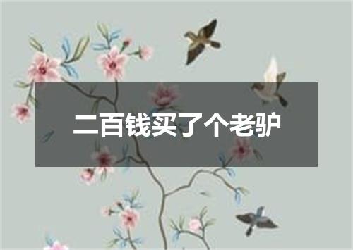 二百钱买了个老驴