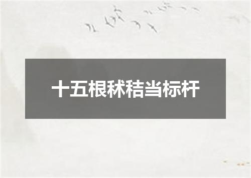 十五根秫秸当标杆