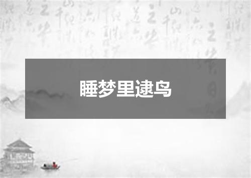 睡梦里逮鸟