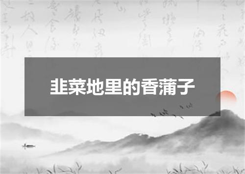 韭菜地里的香蒲子