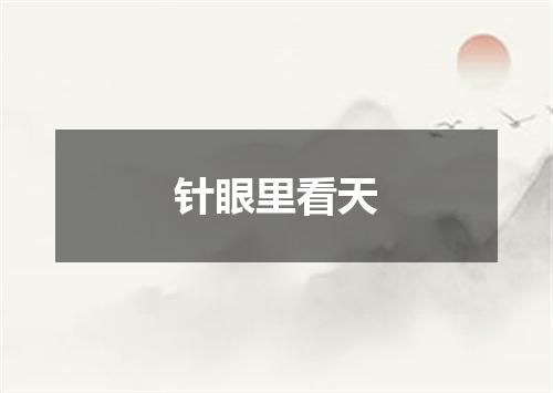 针眼里看天