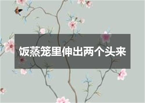 饭蒸笼里伸出两个头来