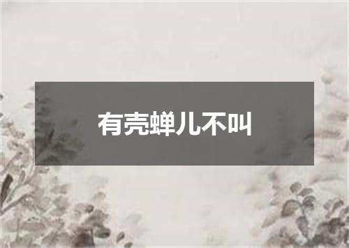 有壳蝉儿不叫