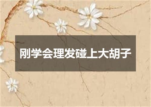 刚学会理发碰上大胡子