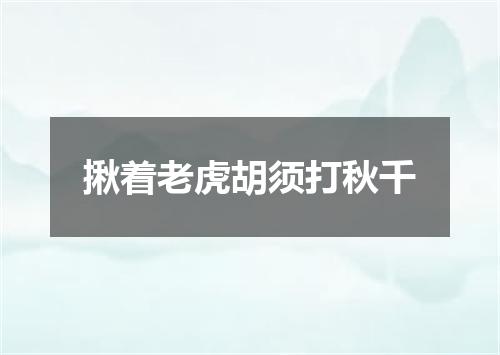 揪着老虎胡须打秋千