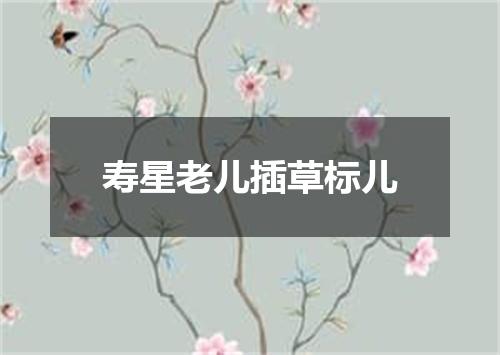 寿星老儿插草标儿