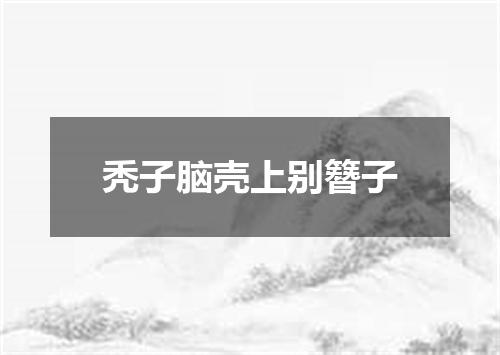 秃子脑壳上别簪子