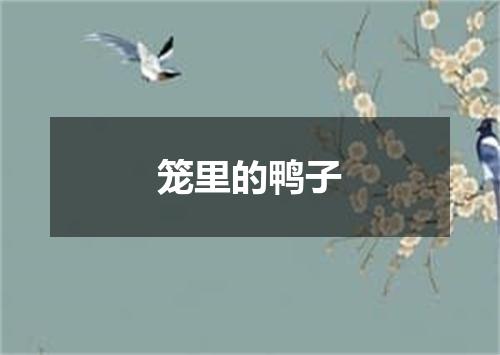 笼里的鸭子