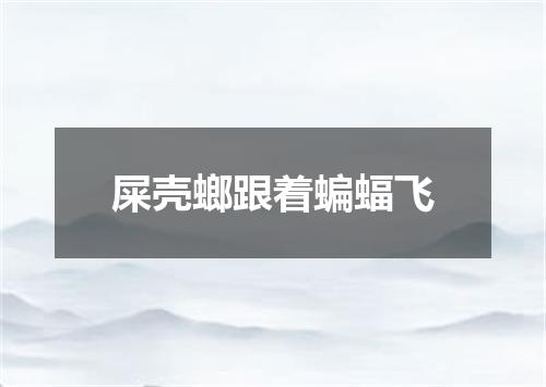 屎壳螂跟着蝙蝠飞