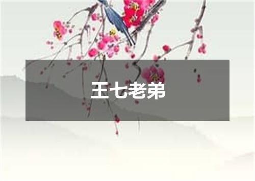王七老弟