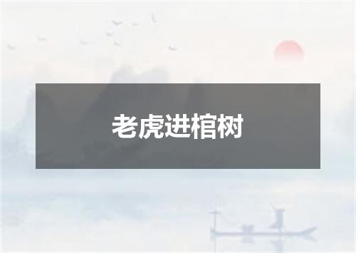 老虎进棺树