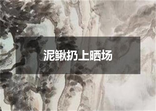 泥鳅扔上晒场