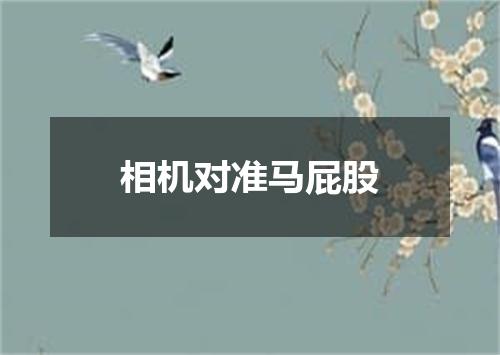 相机对准马屁股