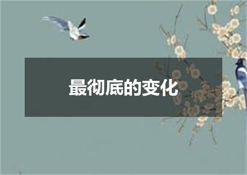 最彻底的变化