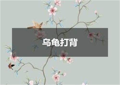 乌龟打背