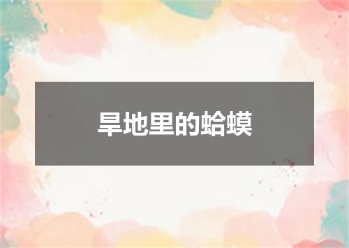 旱地里的蛤蟆