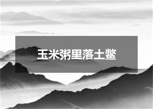 玉米粥里落土鳖