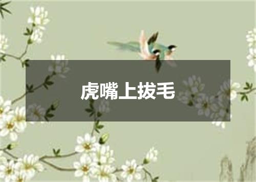 虎嘴上拔毛