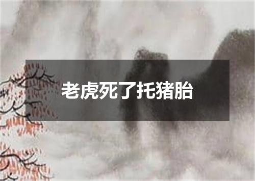老虎死了托猪胎