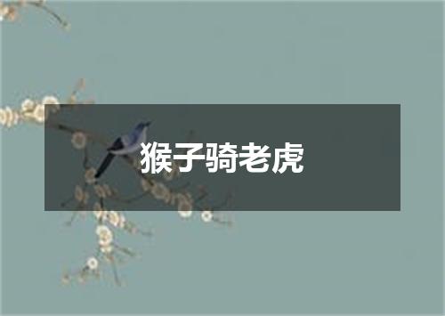 猴子骑老虎