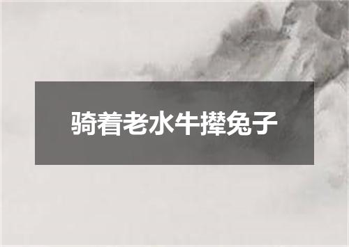 骑着老水牛撵兔子