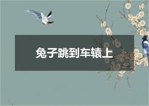 兔子跳到车辕上