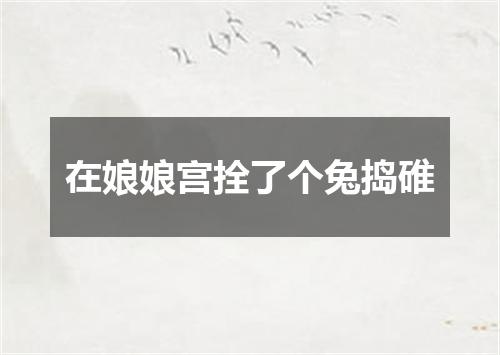 在娘娘宫拴了个兔捣碓