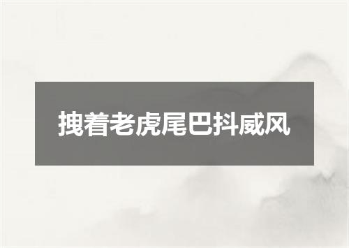 拽着老虎尾巴抖威风