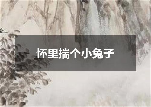 怀里揣个小兔子
