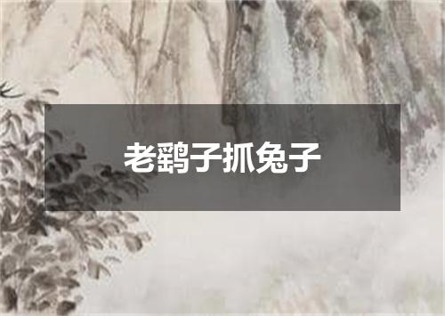 老鹞子抓兔子