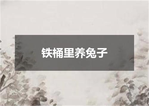 铁桶里养兔子