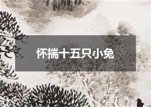 怀揣十五只小兔