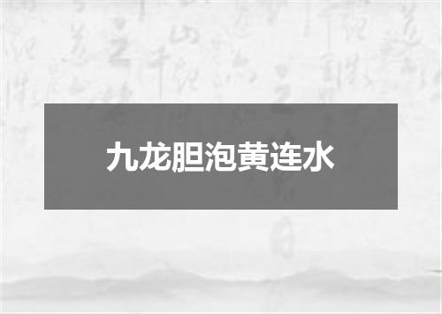 九龙胆泡黄连水
