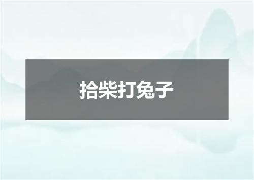 拾柴打兔子