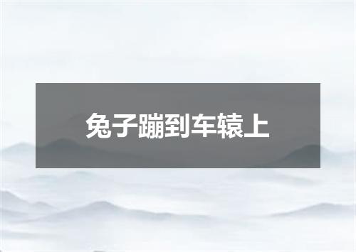 兔子蹦到车辕上